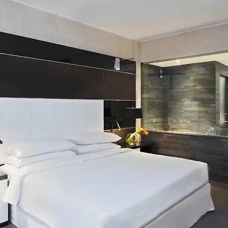 Sheraton Milano Malpensa Airport 4* Ferno
